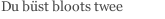 Du b&uuml;st bloots twee